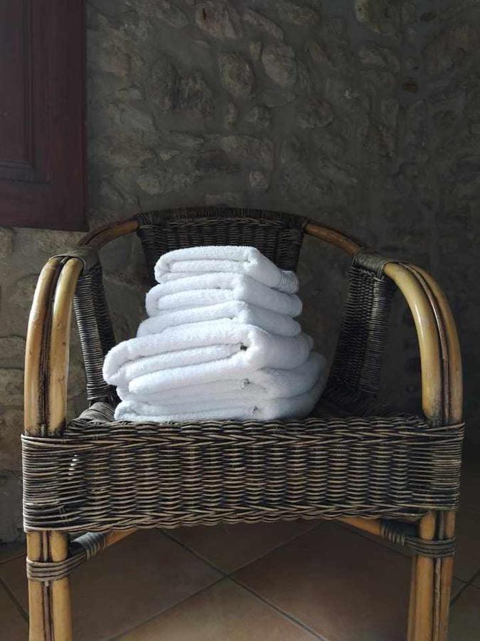Mas Planella Casa Rural Mieres  Exteriör bild